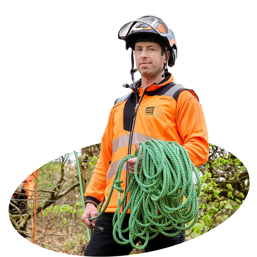 Andy from O'Neill Trees & Timber